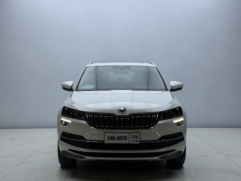 Skoda Karoq, 2022 — фото 2 из 12
