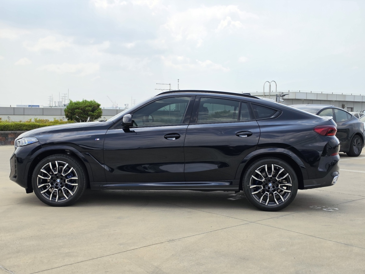 BMW X6, 2025 — фото 6 из 11