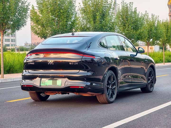 IM motors LS6, 2025 — фото 4 из 9