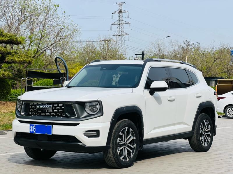 Haval H-Dog, 2024 — купить в Иванове под ключ