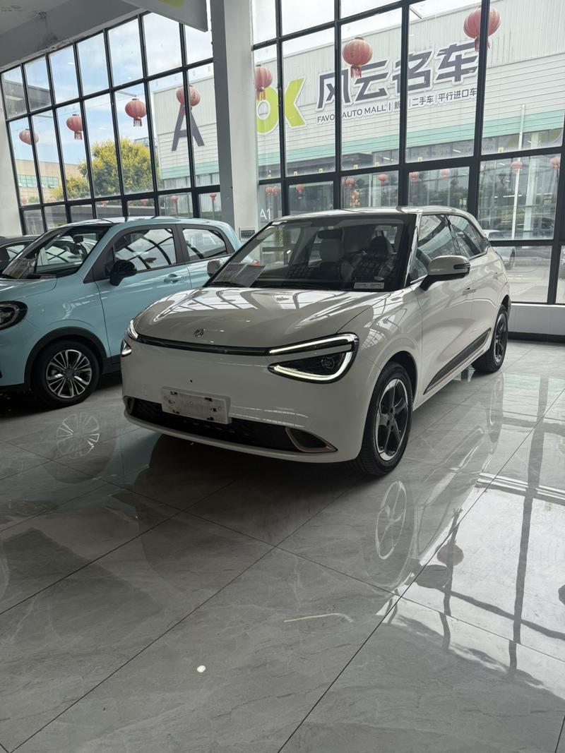 Dongfeng Yipai Nano 01, 2024 — купить в Орле под ключ