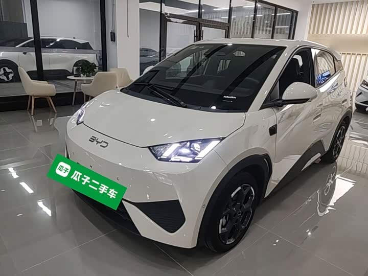 BYD Seagull, 2025 — купить в Москве под ключ