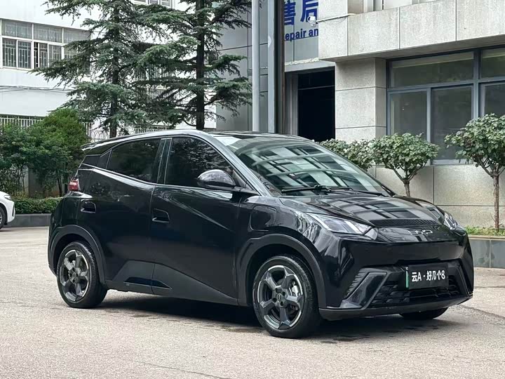 BYD Seagull, 2023 — фото 3 из 9