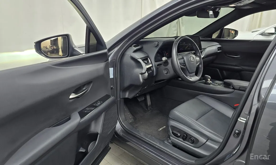 Lexus UX, 2024 — фото 10 из 12