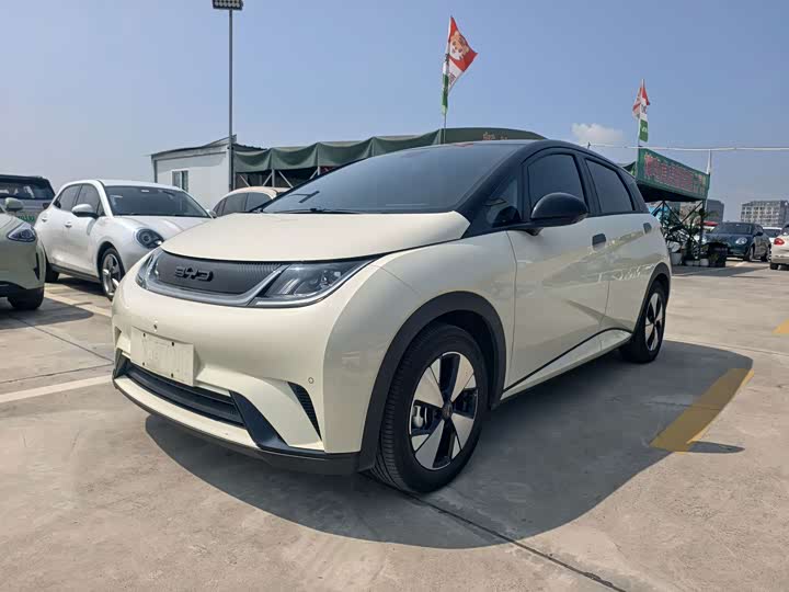 BYD Dolphin, 2023 — купить в Санкт-Петербурге под ключ
