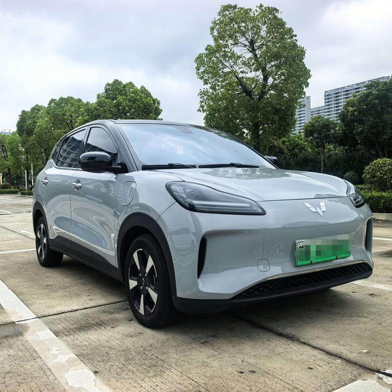 Wuling Bingo Plus, 2024 — фото 3 из 12