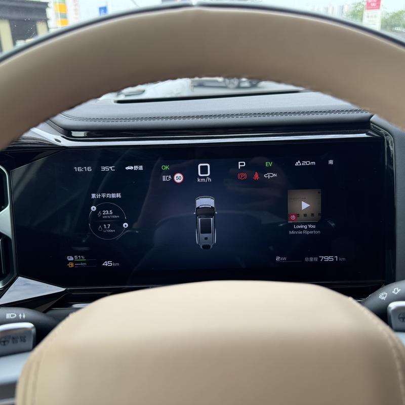 BYD FangChengBao Leopard 8, 2025 — фото 9 из 12
