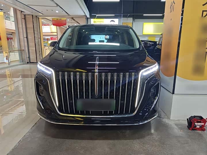 Hongqi HQ9 Hybrid, 2024 — фото 3 из 9