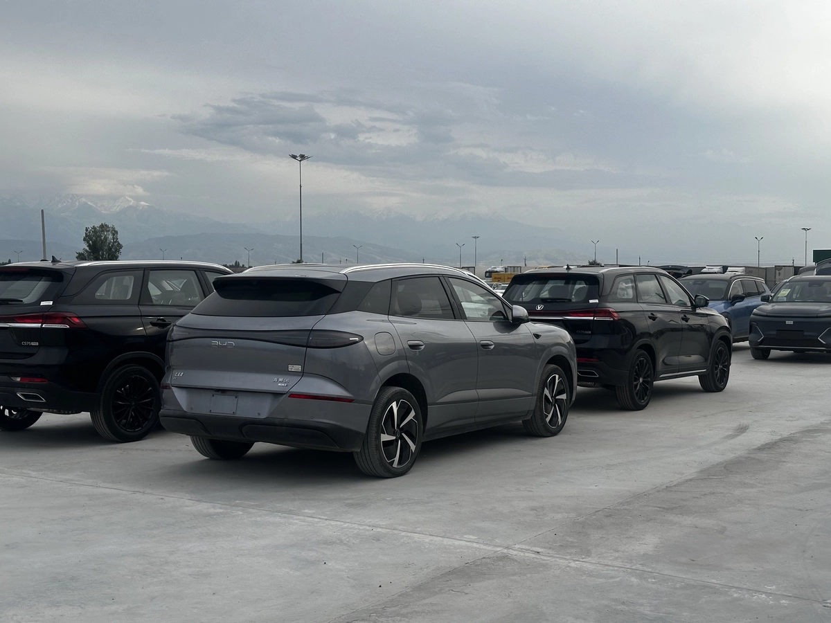 BYD SEA Lion 06, 2025 — фото 2 из 6