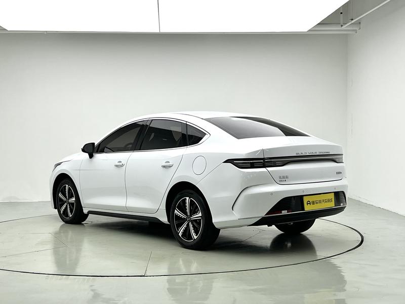 BYD Destroyer 05, 2023 — фото 5 из 12