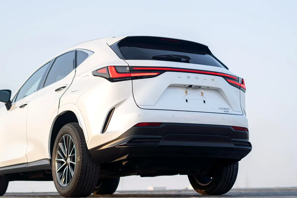 Lexus NX-Series, 2024 — фото 7 из 10