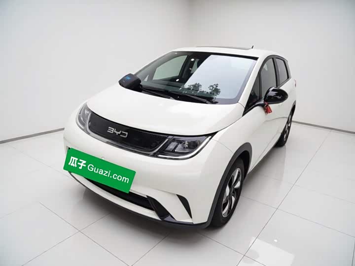 BYD Dolphin, 2025 — купить в Тамбове под ключ