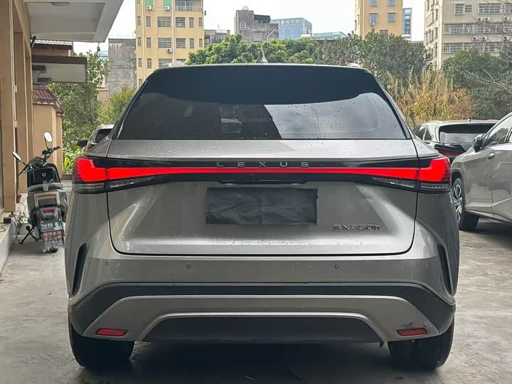 Lexus RX, 2022 — фото 9 из 9