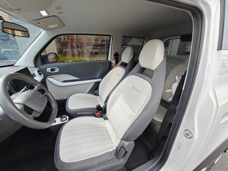 Geely Galaxy Panda Mini, 2024 — фото 11 из 12