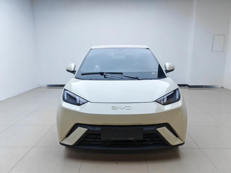 BYD Seagull, 2024 — фото 2 из 12