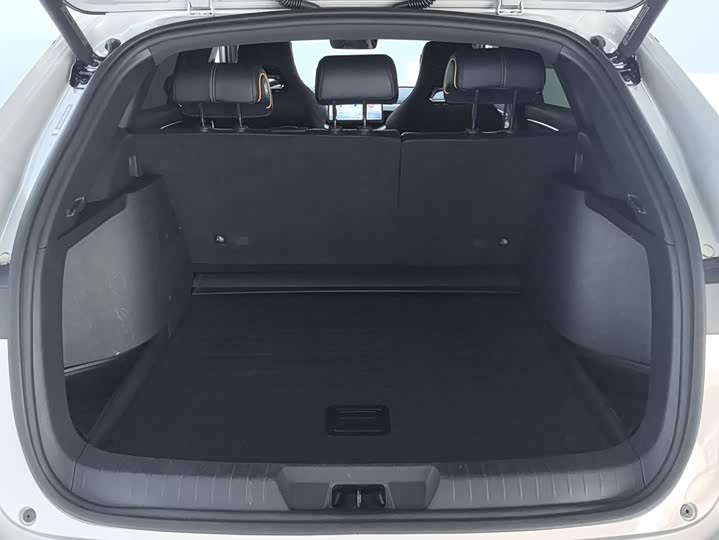 BYD Song Plus Hybrid/EV, 2024 — фото 4 из 9