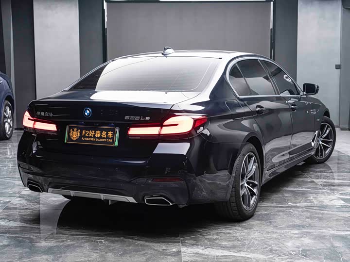 BMW 5 Series Hybrid, 2022 — фото 8 из 9