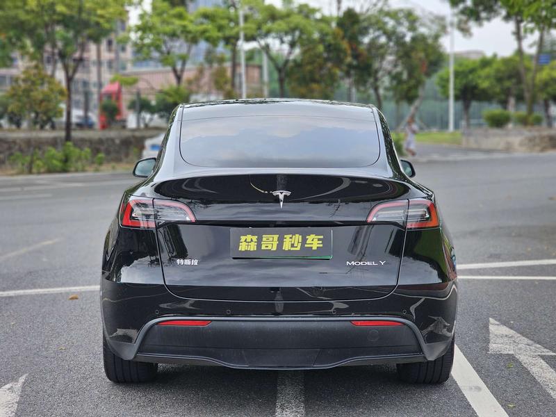 Tesla Model Y, 2022 — фото 6 из 12