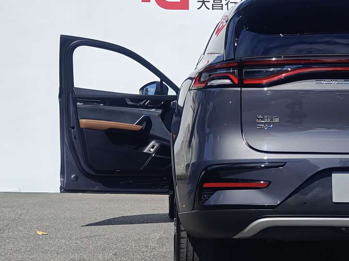 BYD Tang Hybrid/EV, 2021 — фото 8 из 9