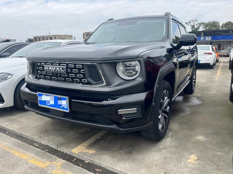 Haval H-Dog, 2023 — купить в Иванове под ключ