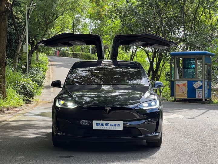 Tesla Model X, 2023 — фото 4 из 9