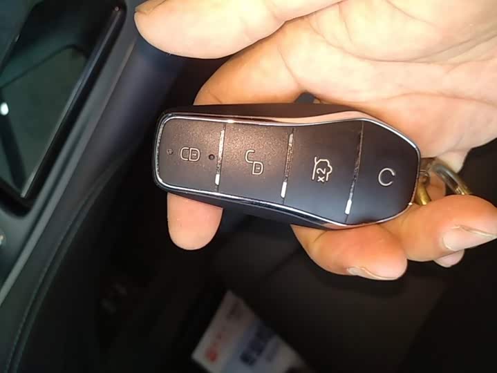 BYD Sea Lion 07 DM-i Hybrid, 2025 — фото 9 из 9