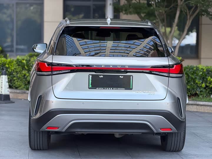 Lexus RX Hybrid, 2023 — фото 9 из 9