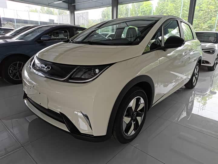 BYD Dolphin, 2026 — купить в Казани под ключ