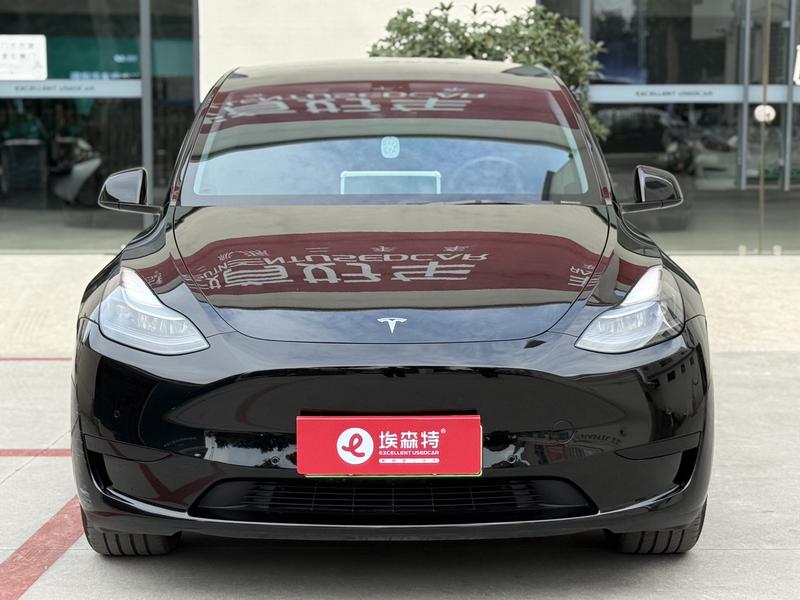 Tesla Model Y, 2023 — фото 2 из 10