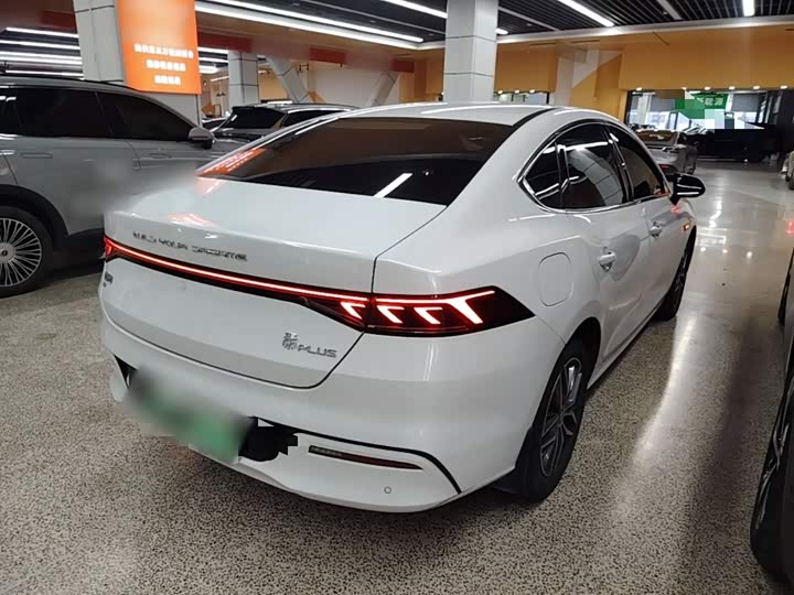 BYD Qin Plus, 2024 — фото 5 из 9