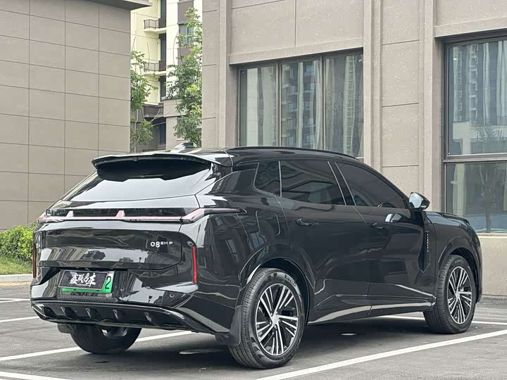 Lynk & Co 08 EM-P Hybrid, 2024 — фото 9 из 9