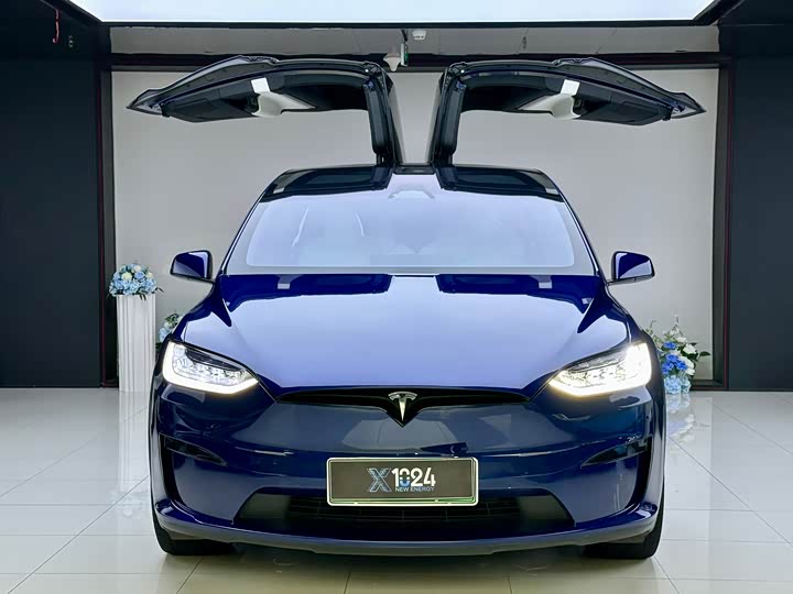 Tesla Model X, 2023 — фото 2 из 9