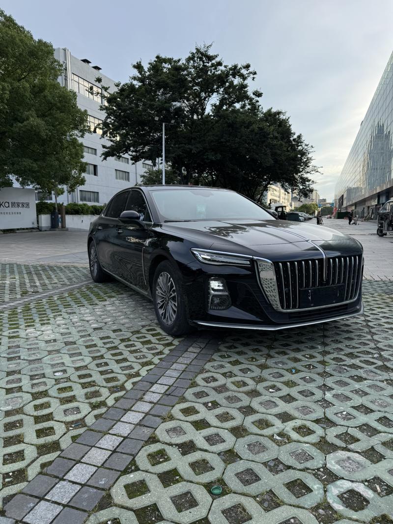 Hongqi H5, 2023 — фото 3 из 10