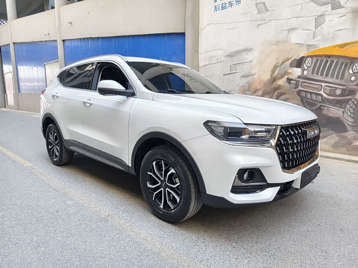 Haval H6, 2023 — фото 3 из 9
