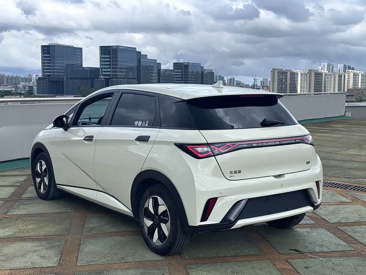 BYD Dolphin, 2024 — фото 8 из 9