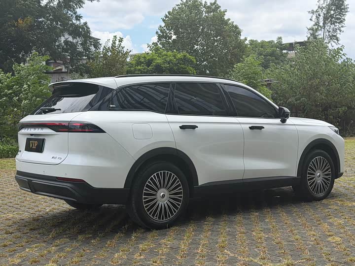 Chery Fulwin T9, 2024 — фото 4 из 9