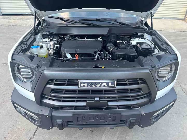 Haval Dargo, 2024 — фото 7 из 9