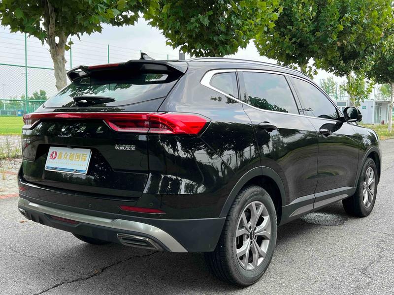 Haval H6, 2022 — фото 4 из 9