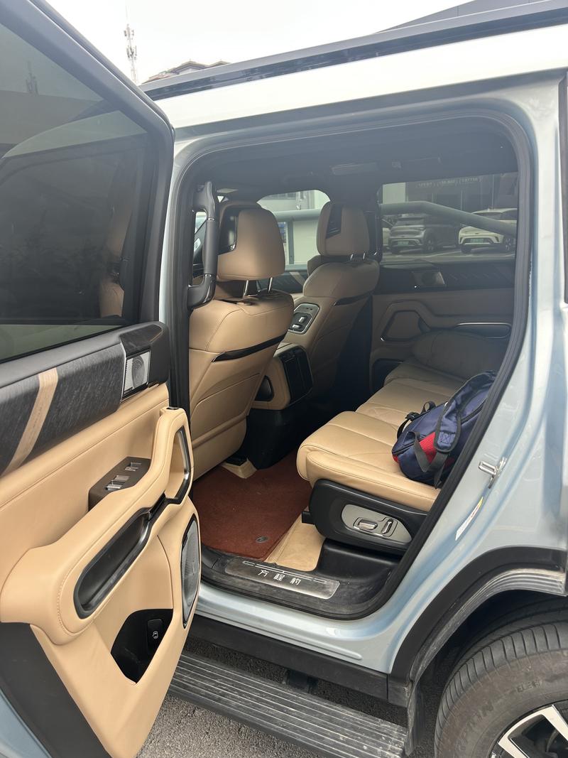BYD FangChengBao Leopard 8, 2025 — фото 6 из 7