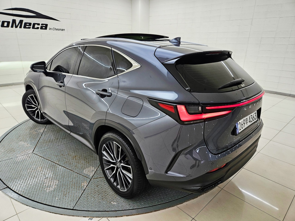 Lexus NX, 2023 — фото 4 из 12