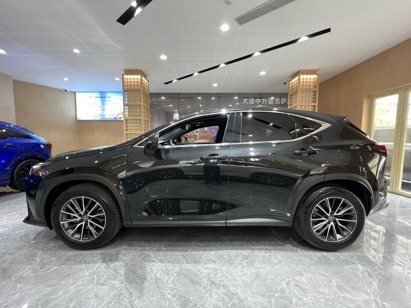 Lexus NX, 2023 — фото 3 из 12