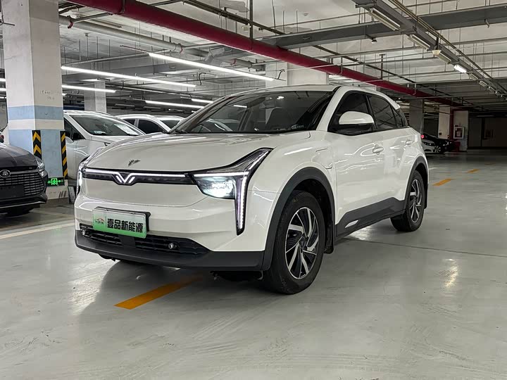 Hozon U, 2021 — купить в Пензе под ключ