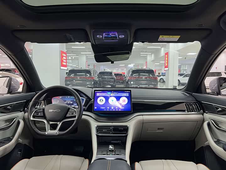 BYD Song Plus Hybrid/EV, 2023 — фото 8 из 9