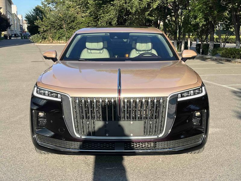 Hongqi H9, 2022 — фото 2 из 12